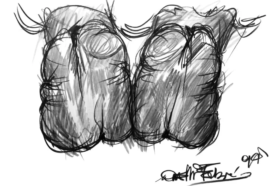 Disegno Ortodontico bianco e nero Fabrizio Anelli