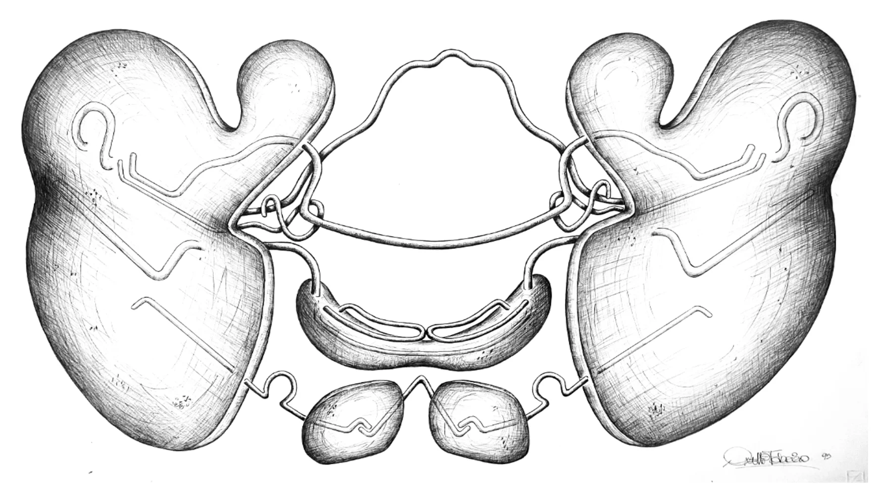 Disegno Ortodontico bianco e nero Fabrizio Anelli