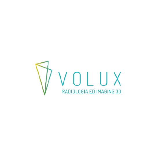 Volux logo - Teor